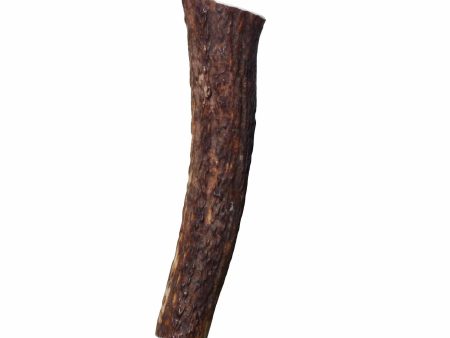 KONG(R) Wild Antler Whole Online now