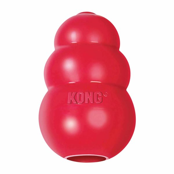 KONG(R) Classic Dog Chew Toy For Cheap