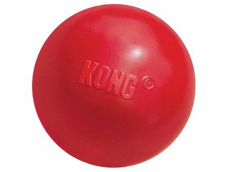 KONG(R) Ball w Hole Dog Fetch Toy Hot on Sale