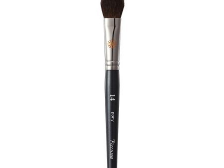 Picasso Highlighter Blusher Brush Pony14 Online Hot Sale