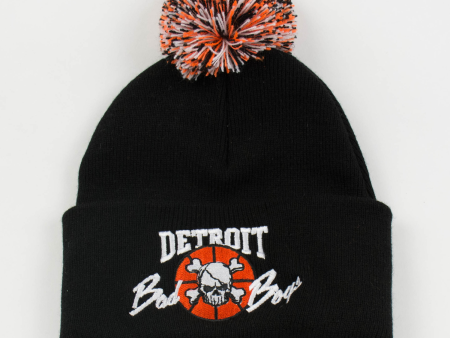 Detroit Bad Boys Multi-colored Pom Beanie For Sale