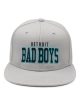 Detroit Bad Boys Flat Bill Lt Grey with Bold Teal Online Hot Sale