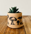 Mushroom Succulent Pot by Hands on Ceramics on Sale