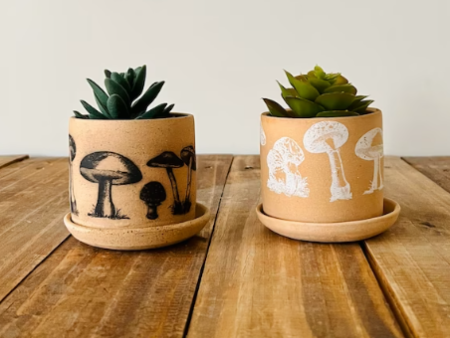 Mushroom Succulent Pot by Hands on Ceramics on Sale