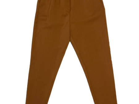 Wool Slub Sartorial Pant in Terre Online