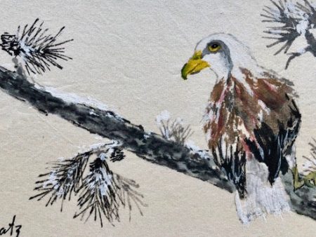 Original Eagle Watercolor Card by Sanford Schatz For Discount