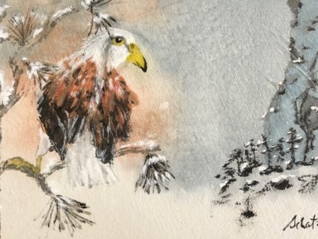 Original Eagle Watercolor Card by Sanford Schatz For Discount