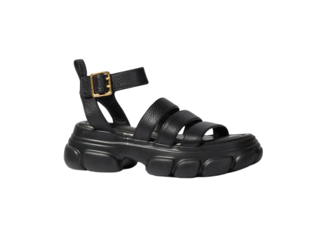 Cassidy Sport Sandal Online Hot Sale