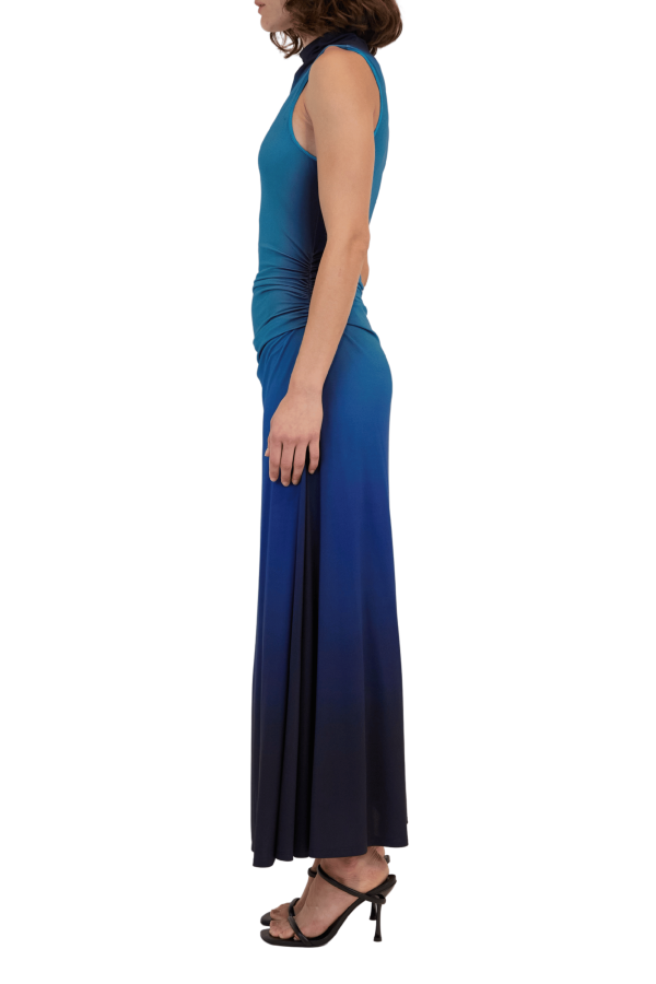 Aldina Ombre Maxi Dress Online now